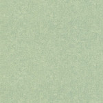 th_554472.jpg